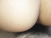 Fucking a giant ass with a beautiful asshole doggy style 6/16