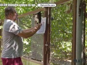 MATURE4K. Kinky mature giantess Diana loves pet play in stockings with 2 strangers in public 2/16