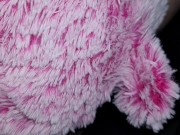 New pink teddy bear fuck 8/16