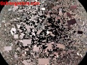 toe sucking fetish 14/16