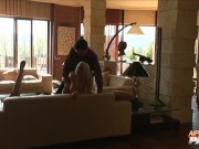 Living Room Orgy Ends With CIM 5/16