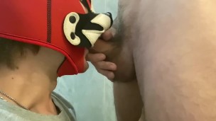 happy puppy sucks big dick in the toilet