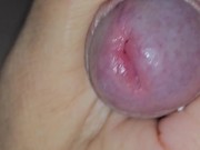 ogni notte da brava cagnolina mi bevo tutto il suo latte pieno di sborra 5/16