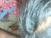 Indian bhabhi sucking big cock , excellent sucking,best blowjob 13/16