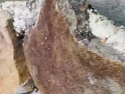 Rico día en piscina 9/16