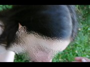 The Forest nymph 14/16