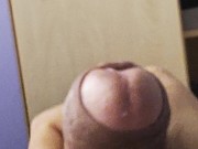 พฤติกรรมความเงี่ยนของข้าพเจ้า 8/16