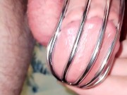 Month two, denied by everyone on pornhub, please let me cum Miss AllieNicoleXXX 🥵🔵🔵💧!!! 1/16