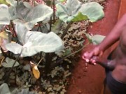 ALMOST CAUGHT JERKING OFF IN PUBLIC ((SO SCARY)) - Screenshot 12 of 16 - Cream Pie