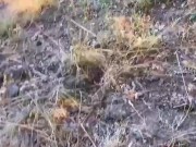 Tara Secret - Stranger Jerking on a Field and calling Random Hot Girl for help! Sexy Outdoor Blowjob