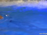 Exotic Intentions From Beautiful India 8/16