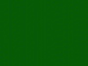 a escondidas jugando con su coño 13/16