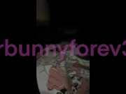 Little Bunny Showing Off 10/16