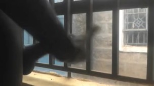NAUGHTY BBC MASTURBATING THROUGH THE WINDOW