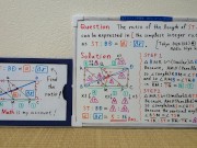 Find the ratio of length of ST to BD in the simplest integer ratio.720p[JapanMath] 11/16