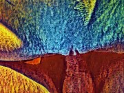 Sucking dick, doggy, rider, cumshot. Cartoon 10/16