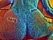 Sucking dick, doggy, rider, cumshot. Cartoon 16/16