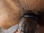 FPOV You get your throat fucked by a big thick buldging cum blasing BBC 12/16