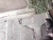 Big Black Dick getting milked ready for multiple cum shots 9/16