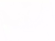 Sounding session massive squirt/piss 16/16