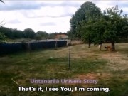 Arrivée de cette femelle inférieure chez la future Propriétaire. VOST engl 12/16