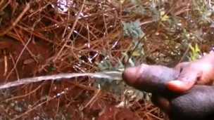 NAUGHTY MAN PISSING OUTSIDE BY THE ROAD