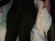 Troia dal dottore porco 5/16