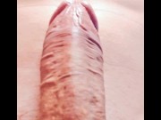 Compilation of snaps 8/16