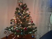 Our step-parents in the next room think we're decorating the tree for Christmas, but we...