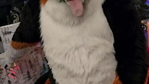  fucks his paws and jerks off under the Christmas Tree