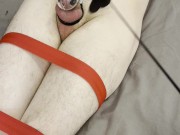 Queen’s Power Over Her Bound Slave 13/16