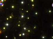 This gift is for you, dear foot fetish lovers – Happy New Year! 1/16