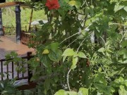 Monika Fox In Blue Bikini Swims In Pool In Paradise Place 15/16