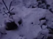 Nude Nature in Winter 15/16