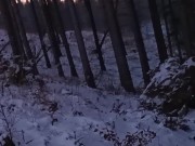 Nude Nature in Winter