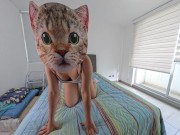 🐱💦 سکس چهار دست و پا با گربه ایرانی با لباس زیر و جوراب بلند - Screenshot 2 of 16 - Marocaine