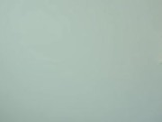 Corrida con consolador 16/16