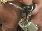 Steel treated flesh strengthens the cock and the balls and should be a revered accolade 16/16