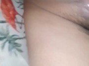 Putukan sa bagong taon 16/16