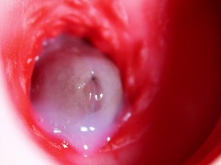 Nice big head slides inside best friend’s sweet shiny hole!