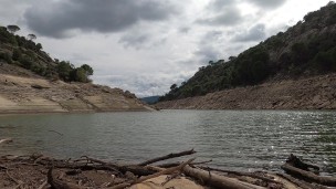Guy swims with anal plug in lake