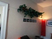 Sunday Funday 7 - Watching Porn with my Petite Submissive Wife 16/16