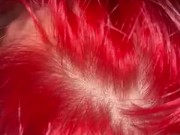 Hot nerdy redhead slut sucks cock with perfect eyes 11/16