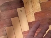 cheirophilia hand fetish 6/16