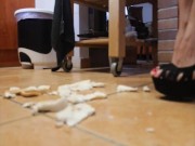 Eat your meal from the floor! 8/16