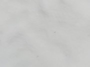 Walking with my stripper heels on in the snow barefoot 4/16