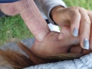 Just the tip - Juicy Best Compilation 16/16