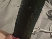 Making my noisy hole queef and cream with a cucumber 1/16