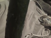 Making my noisy hole queef and cream with a cucumber 2/16