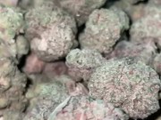 Teen giving head 12/16